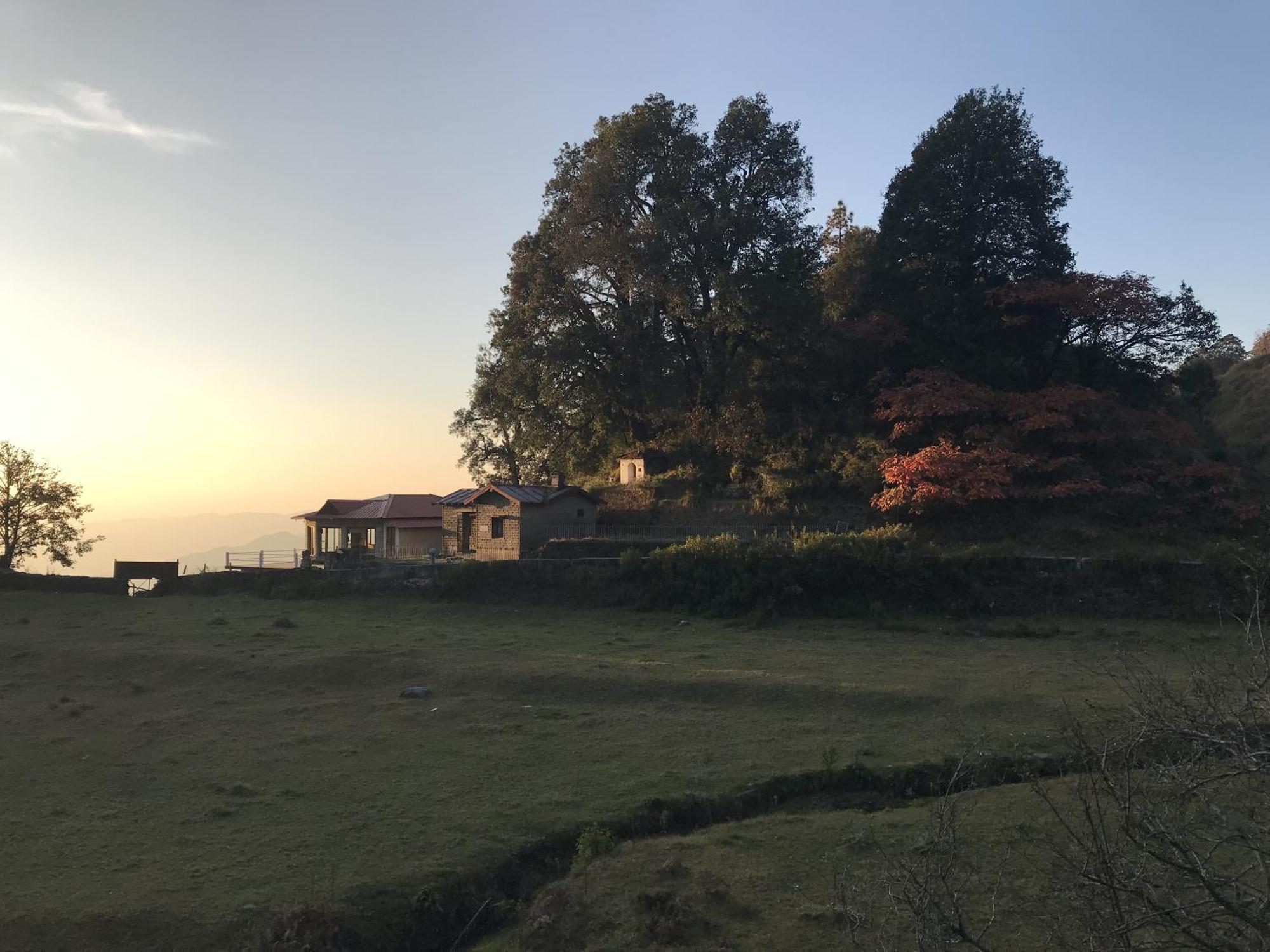 Simba Jungle Lodge, Binsar Wildlife Sanctuary Экстерьер фото
