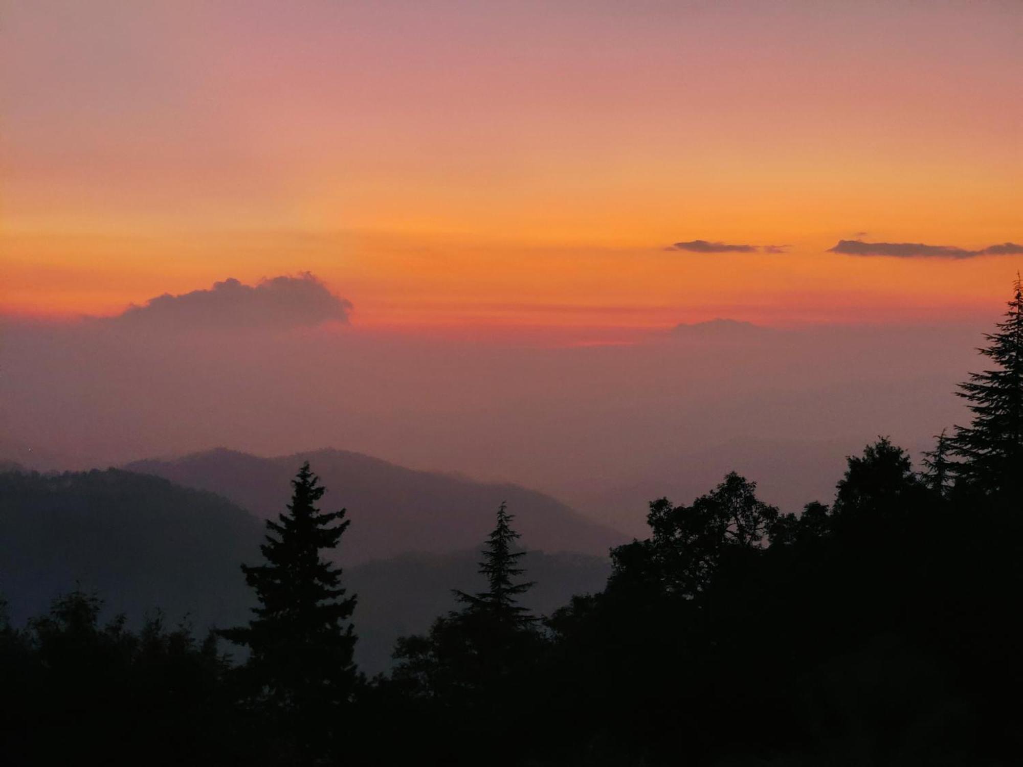 Simba Jungle Lodge, Binsar Wildlife Sanctuary Экстерьер фото