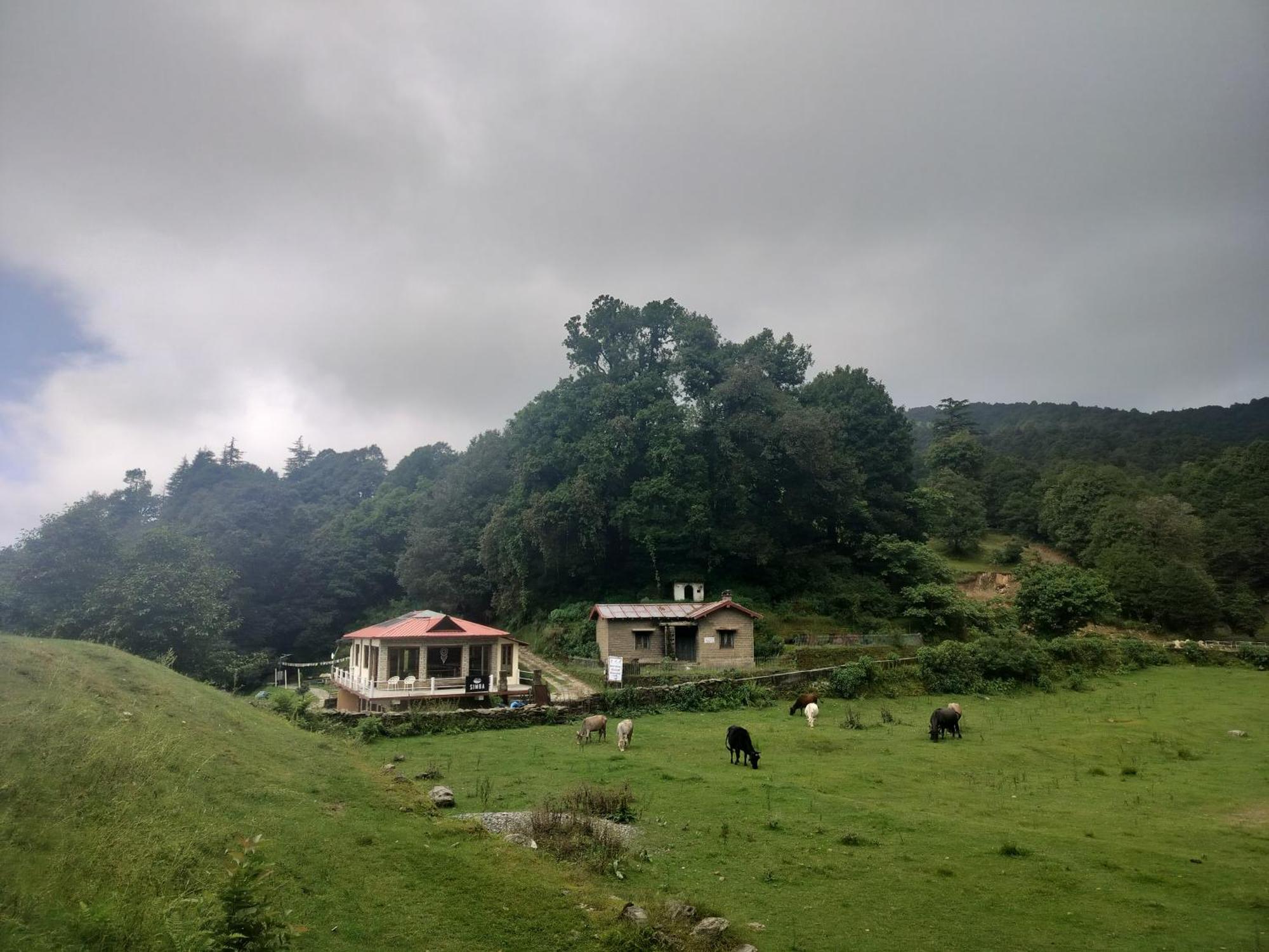 Simba Jungle Lodge, Binsar Wildlife Sanctuary Экстерьер фото