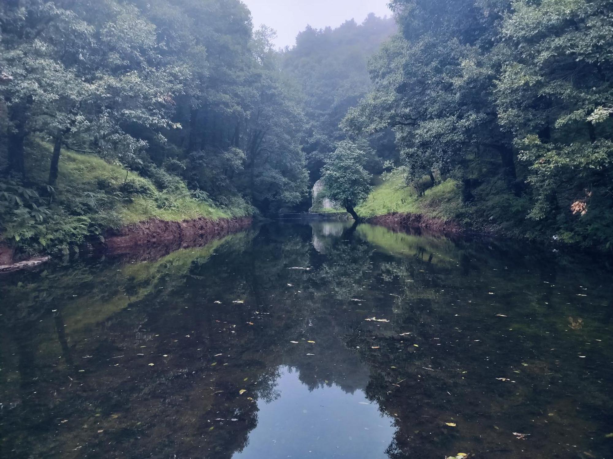 Simba Jungle Lodge, Binsar Wildlife Sanctuary Экстерьер фото